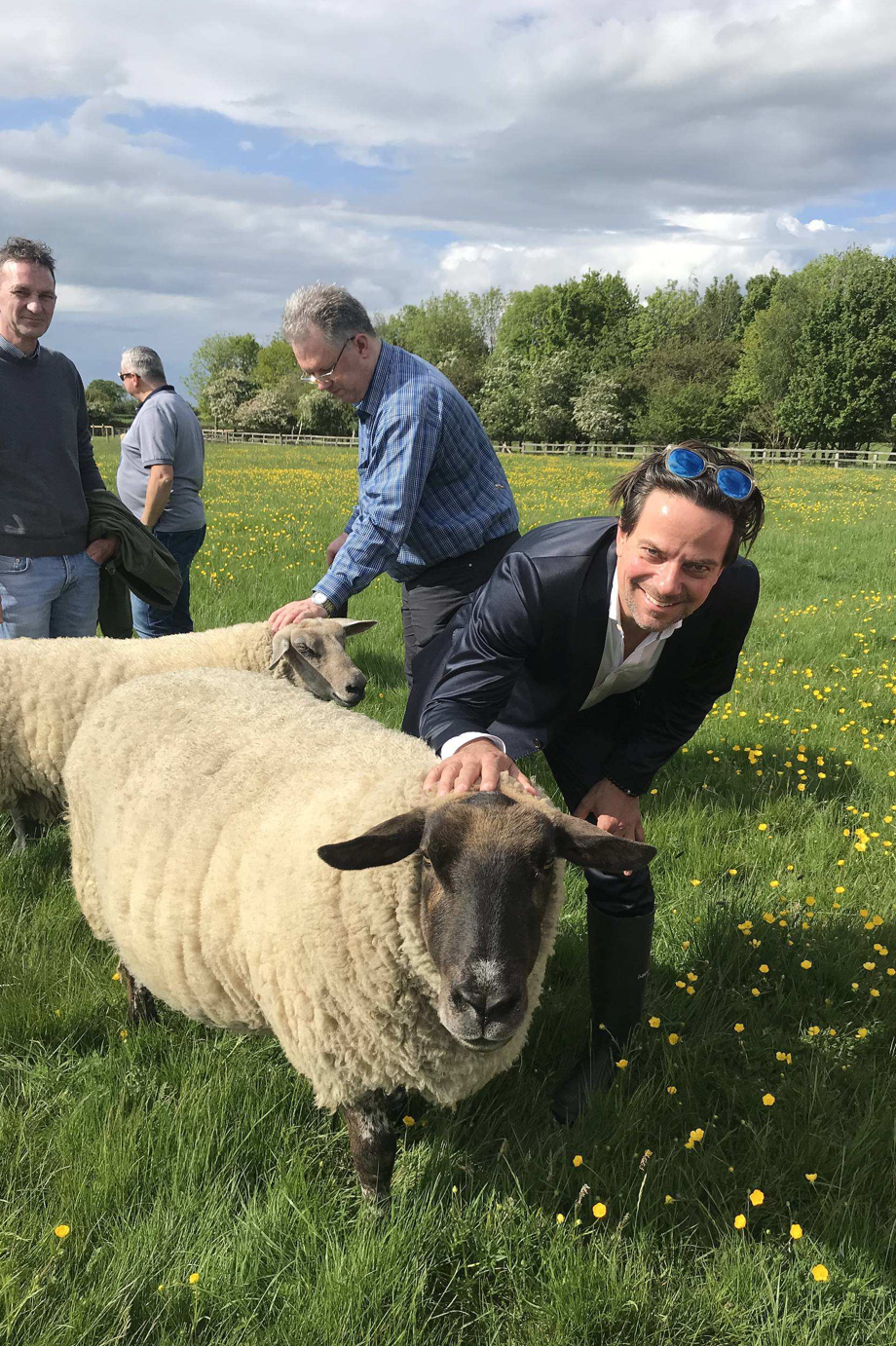 Besuch auf der Weide bei den Schafen der Wolllieferanten